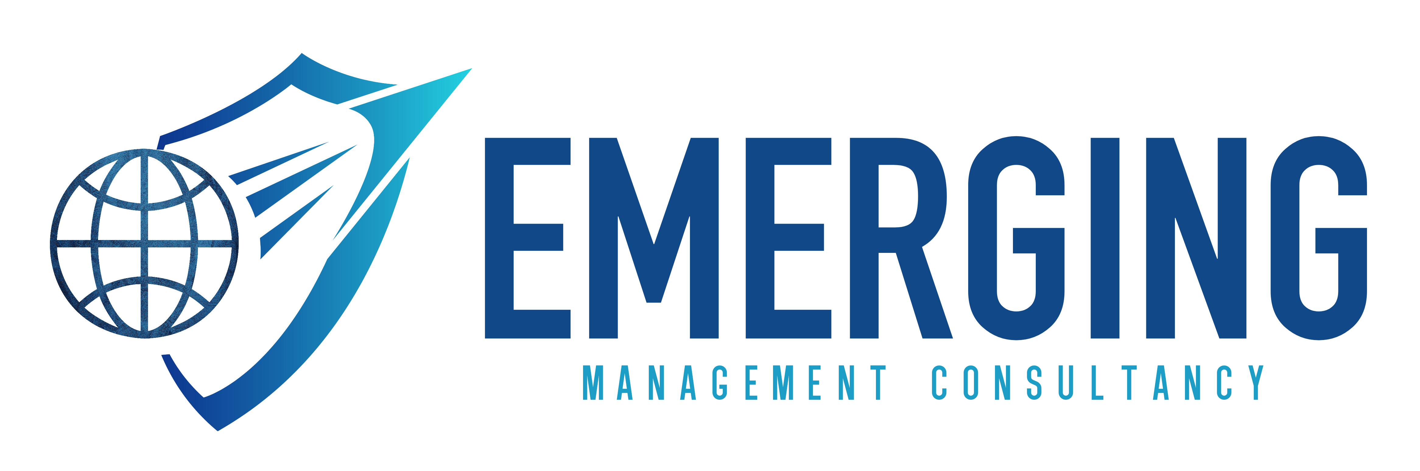 Emerging Management Consultancy